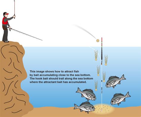 BREAM FISHING FOR BEGINNERS .